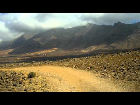 SCSI-9 - Señorita Tristeza