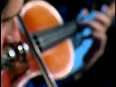 Absoluta (Netinho de Paula In Concert, 2005) Participação de Sampa Crew