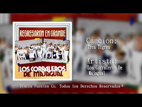 Tres Tigres - Los Corraleros de Majagual | Discos Fuentes