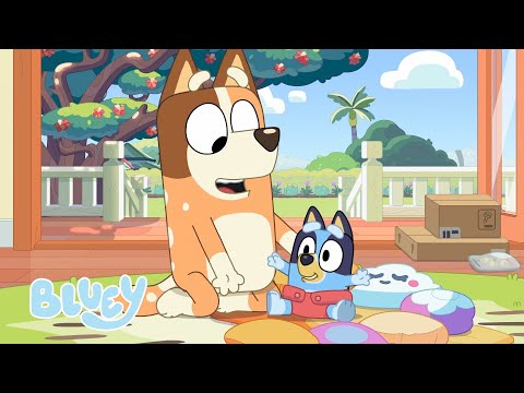 Capa de É uma corrida de bebês | Episódio completo | Bluey Português Brasil Canal Oficial