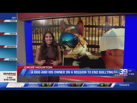 Dog and owner's mission to end bulling - Gianella Ghiglino