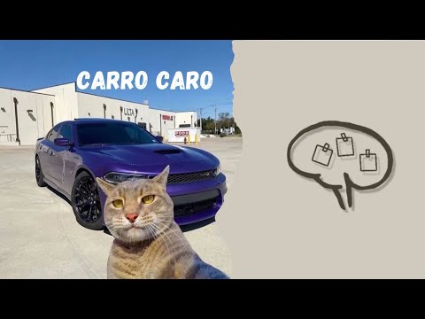 5. carro caro - vertto ( memóriaS )