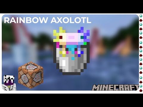 How to make RAINBOW Axolotls in Minecraft (like jeb_...