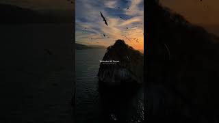 Baarish 🌧️☔ #love #song #aesthetic #lyrics #songlyrics #vibe #baarish #atifaslam #viralsong