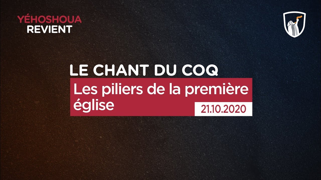 Thumbnail of video: Les piliers de la première église