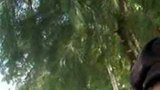 Perfect - Maren Ord Crazy/beautiful soundtrack cover