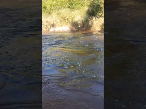 Nono ,Córdoba , argentina #arroyo#sierras #paisajes #relax