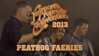 Peatbog Faeries | LIVE AT CROPREDY 2013