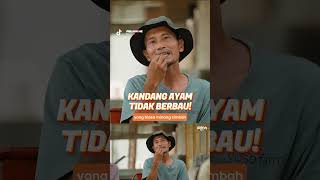 Download lagu KANDANG AYAM ANTI BAU & MULTIFUNGSI mp3