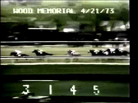 Angle Light - 1973 Wood Memorial Stakes