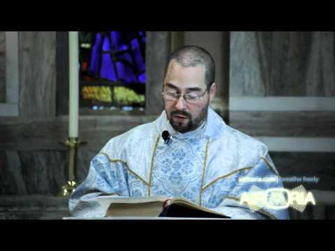 Fr Agnellus: Our Mother of Guadalupe