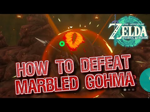 BEAT Marbled Gohma FAST with These Pro Tips!