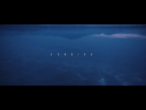 Sonbird - Ląd