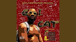 Cool Cat Music Video