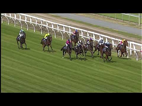 Race Replay: Te Rapa Race 1 - 27 April