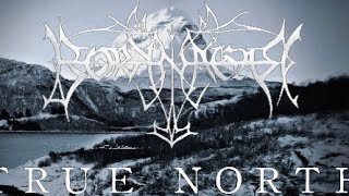 Borknagar-Thunderous Reaction!!!