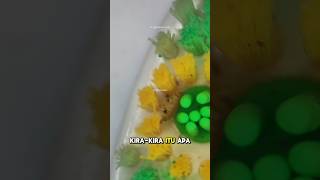 Download lagu Sikat Gigi dibawah Mikroskop😱😱‼️#experiment #mikroskop mp3 Download lagu Sikat Gigi dibawah Mikroskop😱😱‼️#experiment #mikroskop mp3