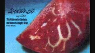 PASHTO QURAN TARJUMA  113.SURAH AL-FALAQ w scenes..wmv