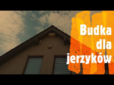 Budka dla jerzyków – zwalczanie komarów w ogrodzie. Jak zamontować budkę dla jerzyków?