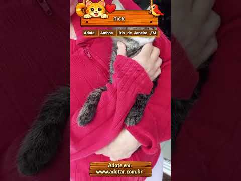 Vídeo de RICK