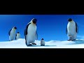 Sample Happy Feet 2006