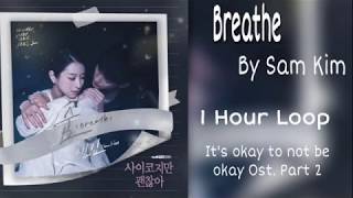 Download lagu [1 HOUR /1시간]- Breath (숨) | Sam Kim | It’s okay to not be okay-사이코지만 괜찮아. OST PT.2| 1 Hour Loop mp3