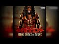 Ace Hood Hustle Hard 432hz