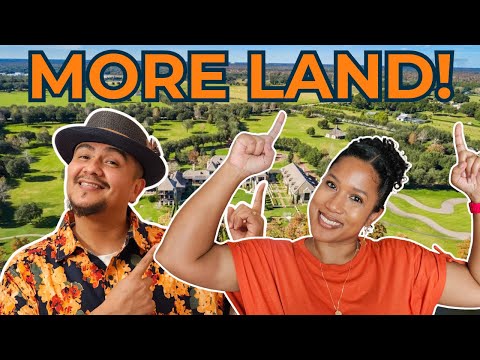 This Tampa Suburb Offers Something Most Others Don’t | Viva Tampa