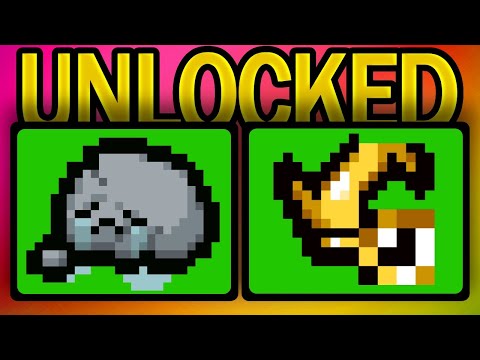 How I Unlocked The BEST ITEMS In The Game