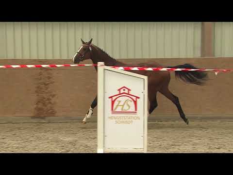 047 051 Casall Canturo