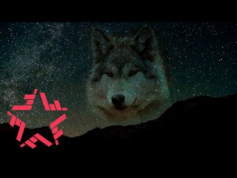 Смысловые Галлюцинации - Мысленный волк (lyric video)