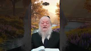 להתבונן | הרב יוסף צ. בן פורת (הרב יוסף צבי בן פורת) - התמונה מוצגת ישירות מתוך אתר האינטרנט יוטיוב. זכויות היוצרים בתמונה שייכות ליוצרה. קישור קרדיט למקור התוכן נמצא בתוך דף הסרטון