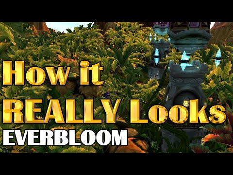 How it REALLY Looks - The Everbloom