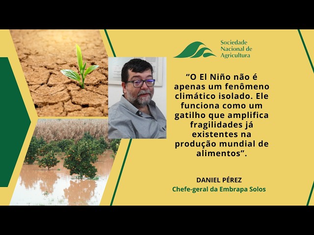Embrapa alerta para impactos do El Niño