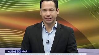 Miniatura do vídeo