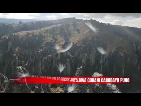 JAYLLUWA el Bosque de Rocas más Extenso del Mundo Corani Carabaya Puno Perú 