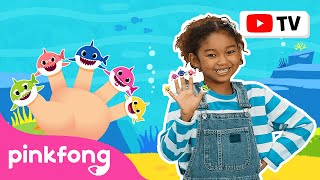 Shark Finger Family | Dance Along | Kids Rhymes | Let&#39;s Dance Together! | Pinkfong Songs