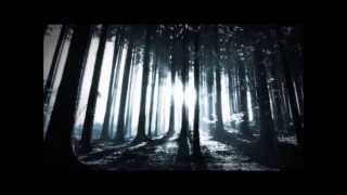 Alcest - Les Voyages De L'Âme (Subtitulado En Español)