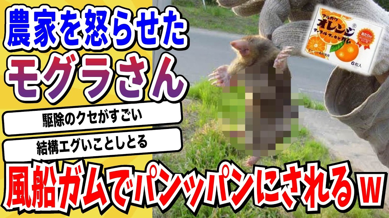 【動物解説】「モグラ」15万年にも及ぶ間、東西に分かれて日本の覇権を争っていた→現代の天下分け目の合戦だと話題にwwwww【なんj/2ch/X/面白スレ】