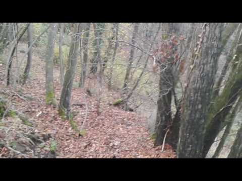 Le colline di Prignano sul Secchia (MO) 2