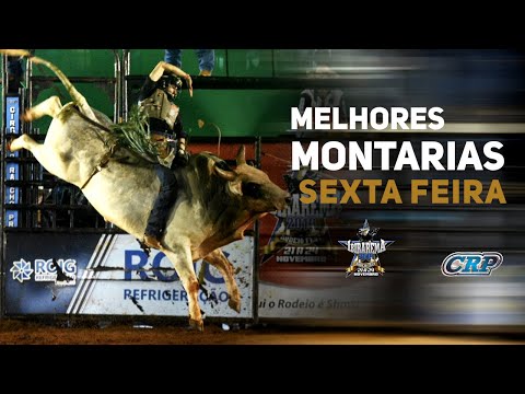 Ibirarema Rodeio Fest 2019 - SEXTA FEIRA / MELHORES MONTARIAS