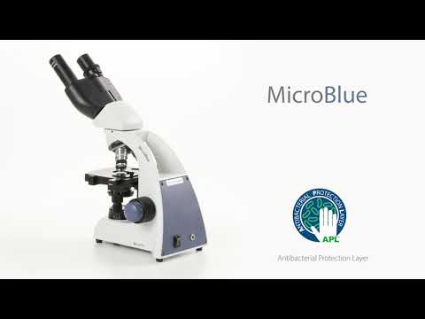 Mikroskopas trinokuliarinis Euromex Microblue video