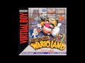 Wario Land Final Boss Theme 2013 08 15