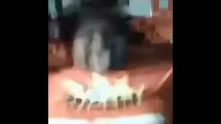 Cover art for black lady getting jumpscared but someone put fnaf over it