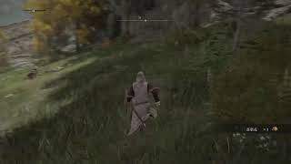 エルデンリングをプレイしていく