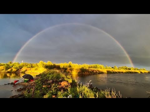 Nocne zawody o puchar rzeki Wisły koło nr 37 Koprzywnica!!!