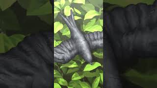 「つまり、人類……それこそが本隊の寄生相手」／『Dr.STONE SCIENCE FUTURE』第3クール第36話「WHYMAN」より