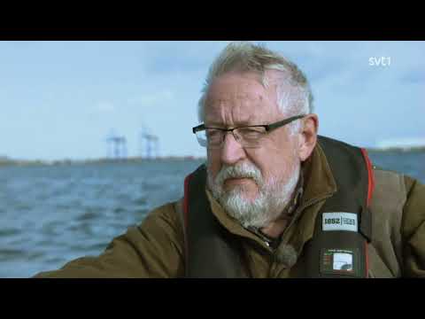 Veckans brott | S15E01 – Mordet på Kim Wall 2017 (SVT 2017)