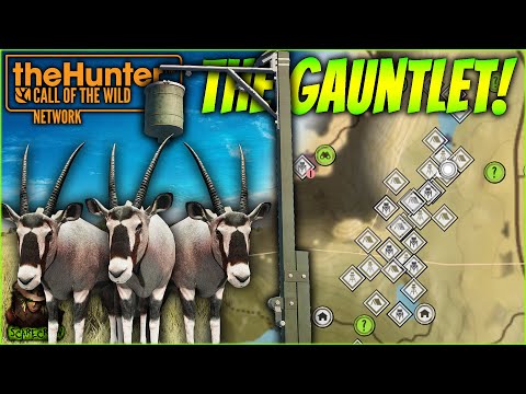 We Tried The ULTIMATE Game Feeder Gauntlet! The Hunter Call of the wild