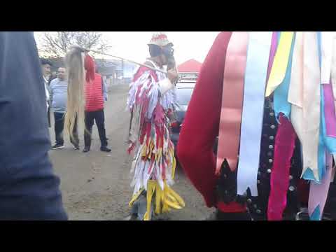 COMUNA ROSIORI ( CAPRA ) #1